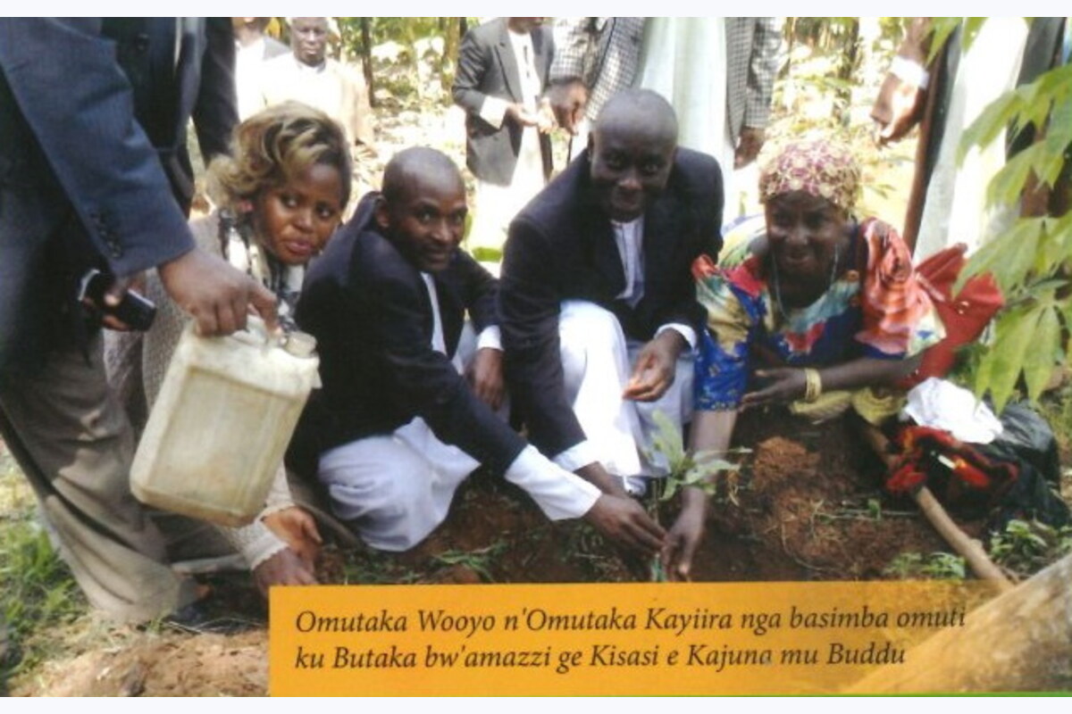 Omutaka Wooyo n'Omutaka Kayiira nga basimba omuti ku Butaka bw'amazzi ge Kisasi e Kajuna mu Buddu